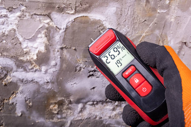 Best Post-Flood Mold Remediation in Lansing, KS