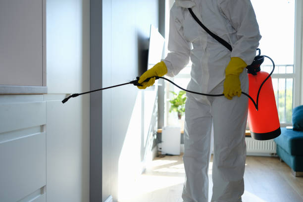 Best Residential Mold Remediation in Lansing, KS